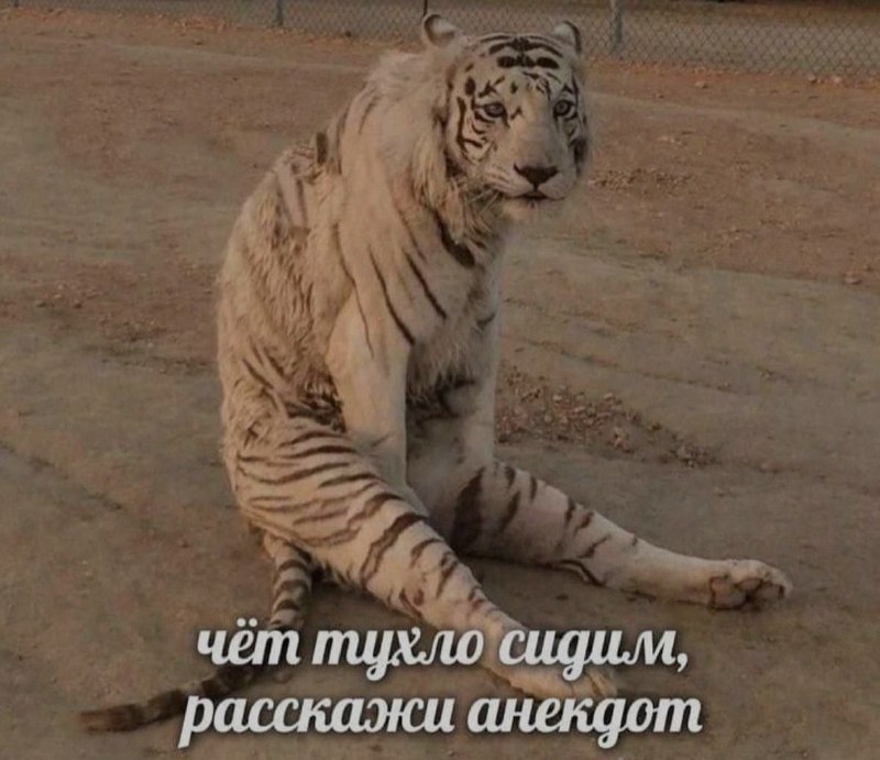 Ночная подборочка
Спать, режим