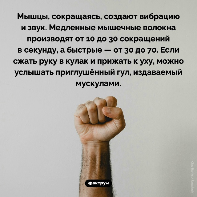 Подборка интересных фактов.
