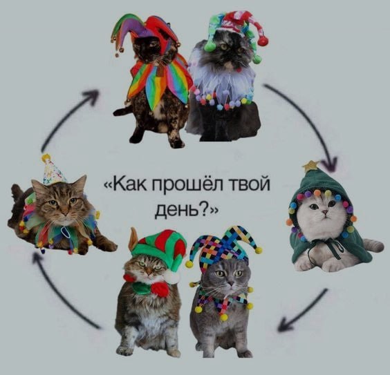 Ночная подборочка
Спать, режим