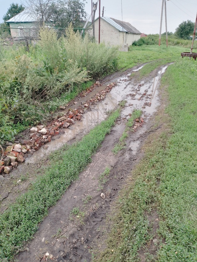 Доброго времени суток! Речь пойдет про Беломестную Дво...