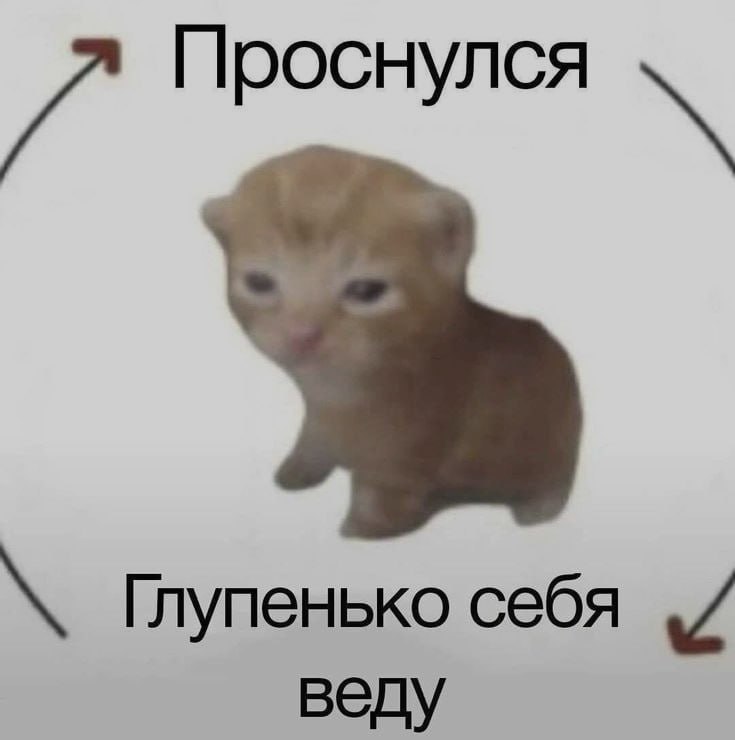 Ночная подборочка
Спать, режим