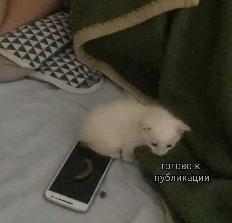 Ночная подборочка
Спать, режим