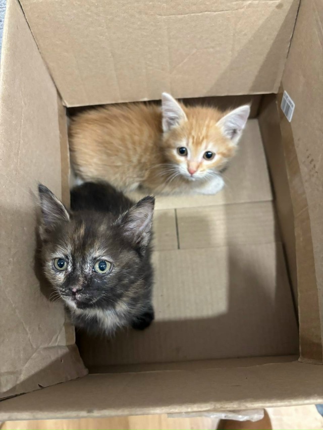 Извините, не по теме..
Краснокамск, Пермь, закамск може?...