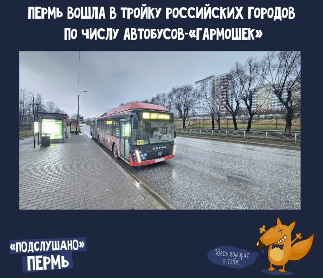 🚌 Пермь вошла в тройку российских городов по числу ав...