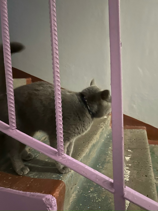 Чей малыш в 6 подъезде Ленина 55?🥺