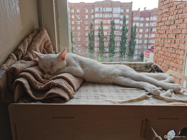 Жизнь удалась и пусть весь мир подождёт...