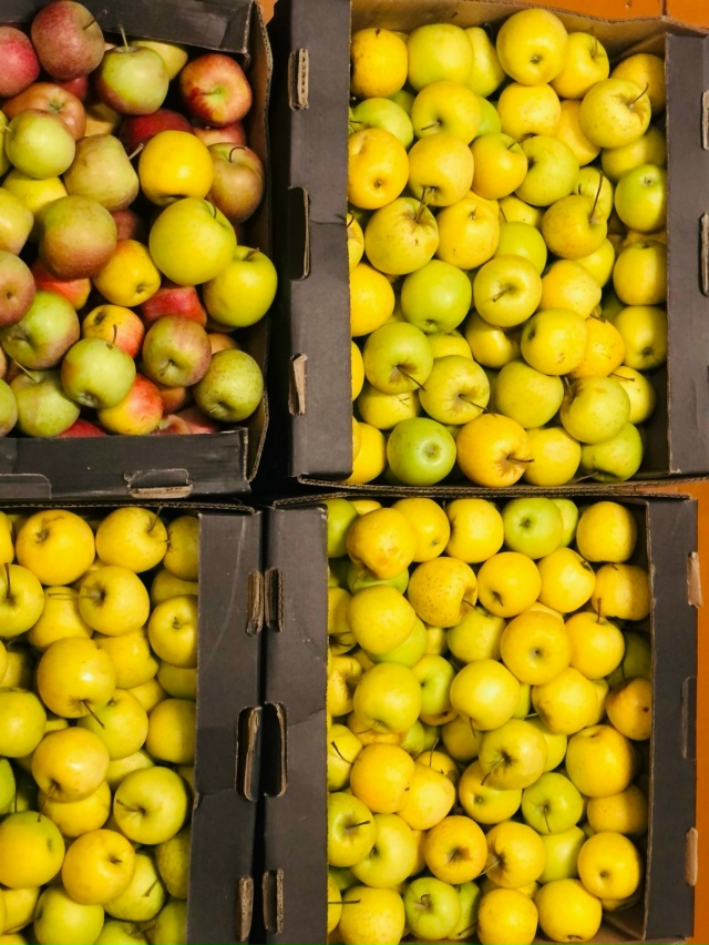 Продаю яблоки сорт Голден и Делишес.Мягкие,сладкие, со?...