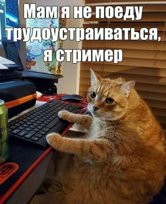 Утренняя подборочка