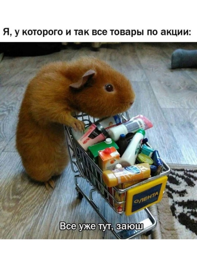 Не на ту напала