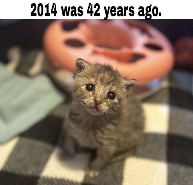 Утренняя подборочка