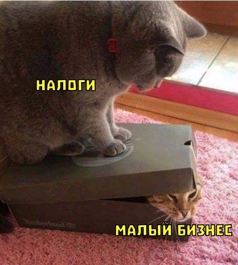 ? В России планируют ввести новый налог для продавцов...