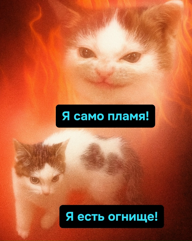 В каждом из нас живёт кусачая ярость, особенно по понед...