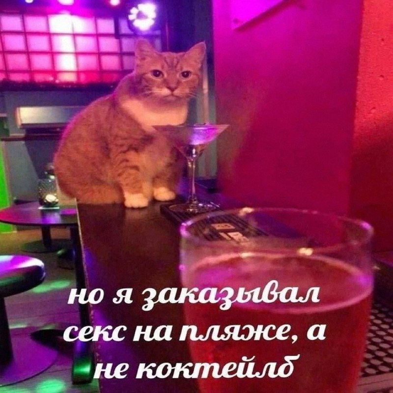 Утренняя подборочка