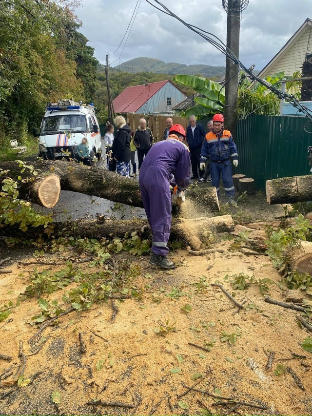 В Сочи спасатели расчищают завалы после разгула стихи?...