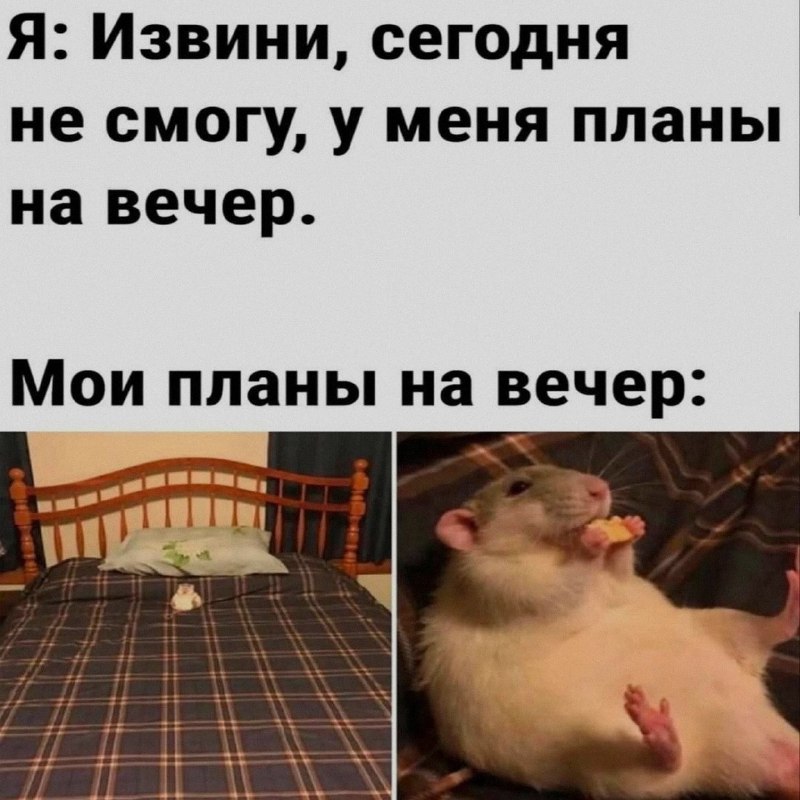 Ночная подборочка
Спать, режим
