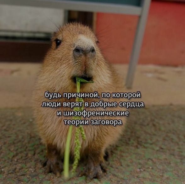 Ночная подборочка
Спать, режим