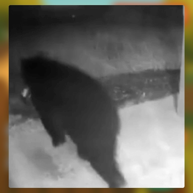 Безумные приколы
Когда ждёшь посылку с онлайн-магазин?...