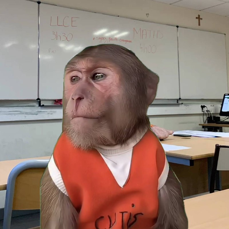 когда экзамен настолько сложный, что теперь единственное, что мне останется делать, это смотреть в о