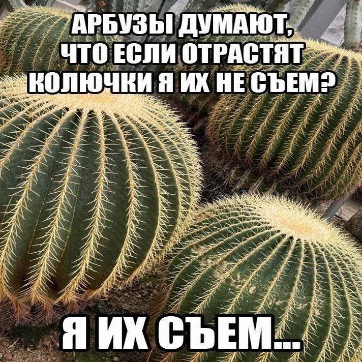 Утренняя подборочка