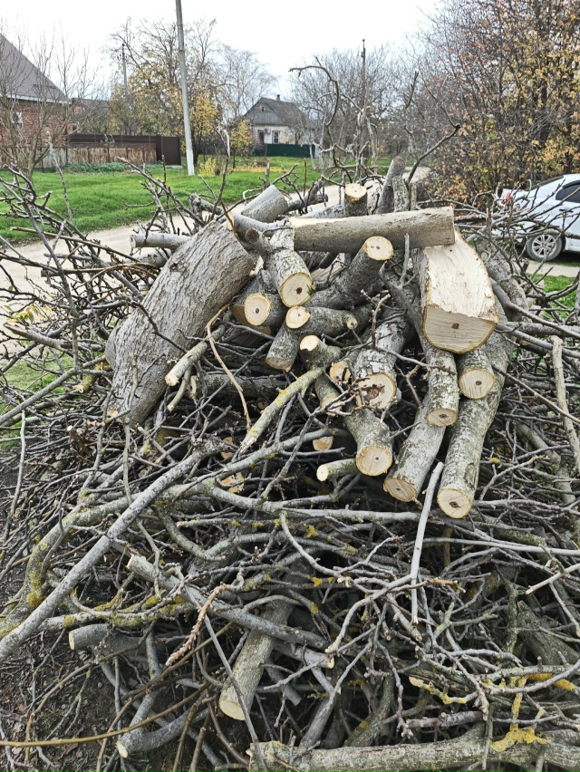 Админ, пропусти пожалуйста.
Дрова бесплатно. Самовывоз...