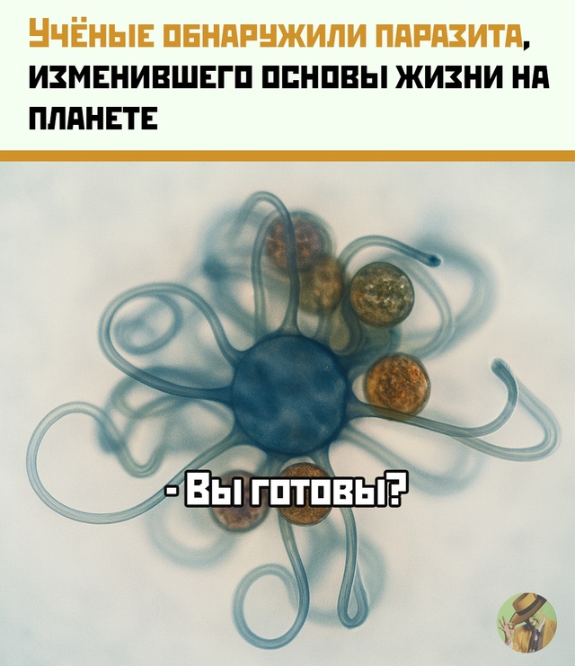 Паразит, который не дышит. Совсем.
Учёные обнаружили с?...