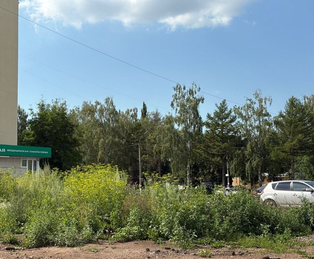 ?В Салавате призывают собственников следить за поряд...