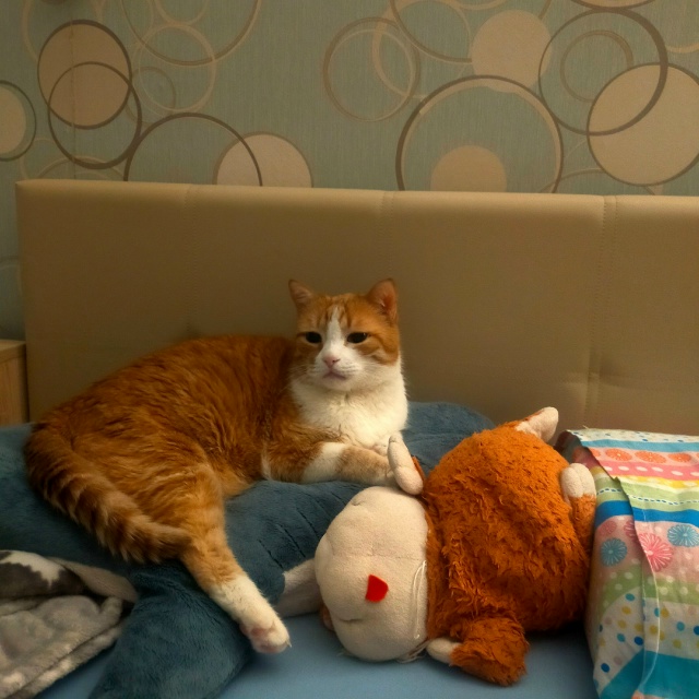 важный ъуъ бумажный
#егобезейшество