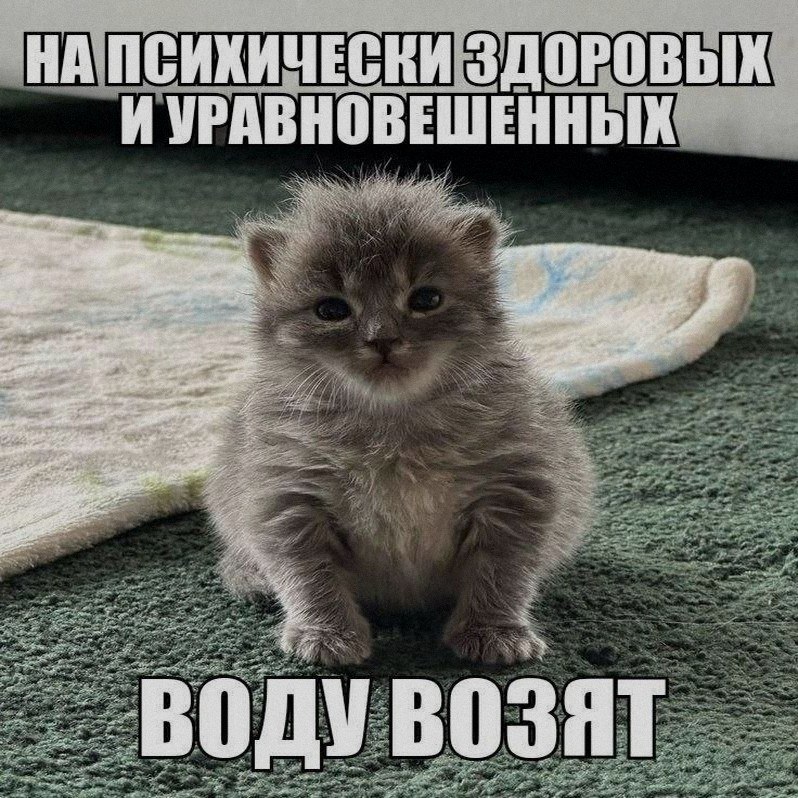 Ночная подборочка
Спать, режим