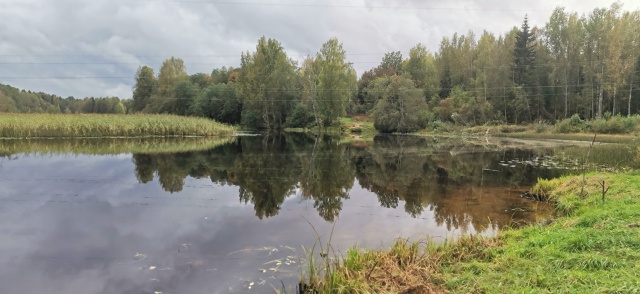 Окуловский район, Новгородская область. День 2.
Озёра М...