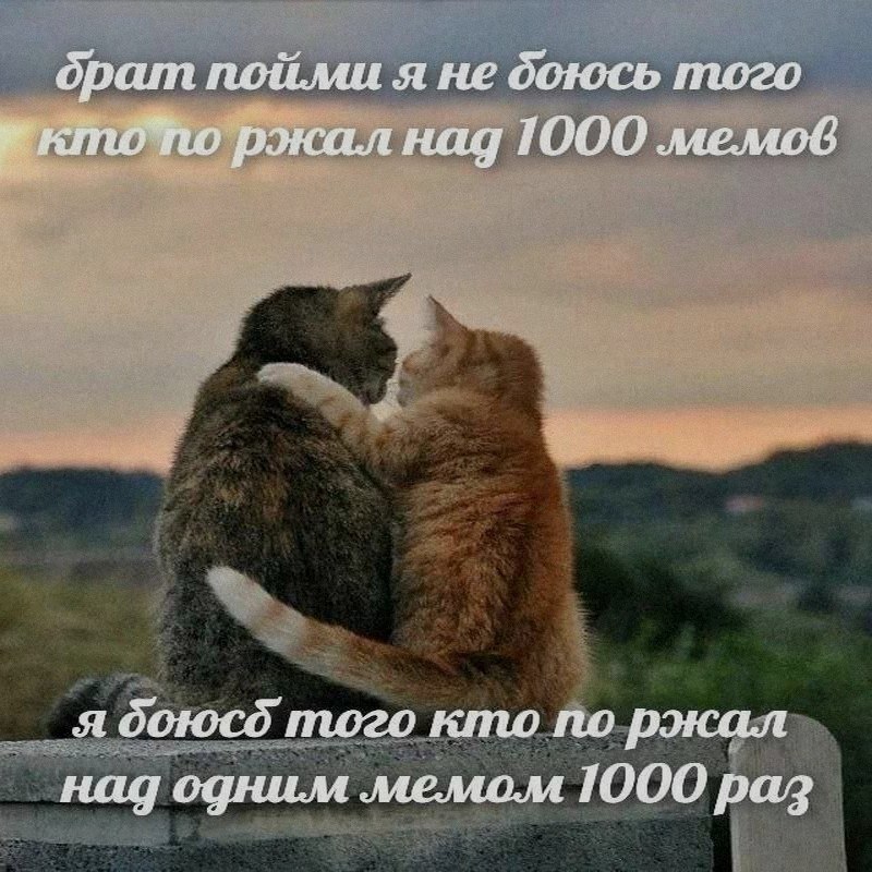 Ночная подборочка
Выходные, не спим