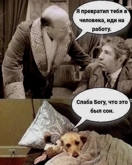 И приснится же такое..