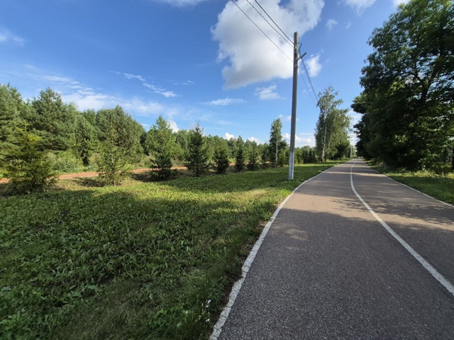 🌳“Красота требует заботы”: мэр Салавата о городском ...