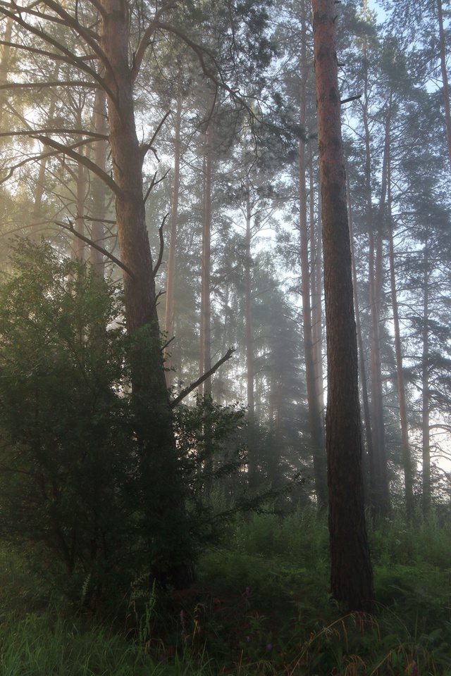 Доброго утра, Никольск❤