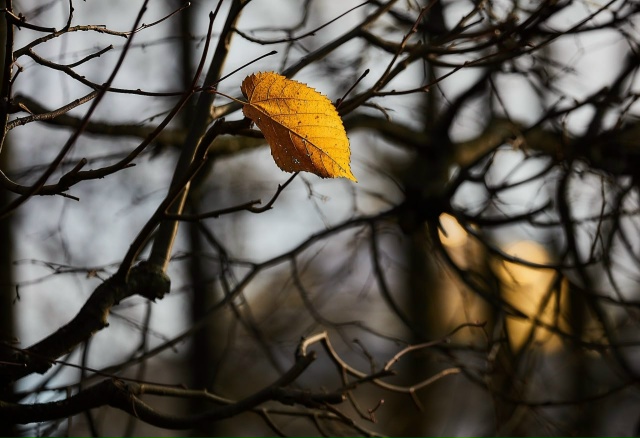 Придумайте подпись к фото. Ваши варианты ждем в коммен?...