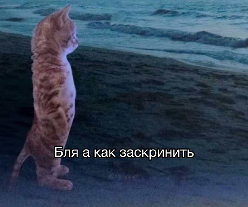 когда находишься в каком-то мега пиздатом месте, но ни одна фотография и ни одно видео не могут пере