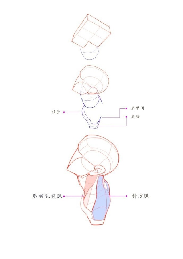 Голова
Tutorial