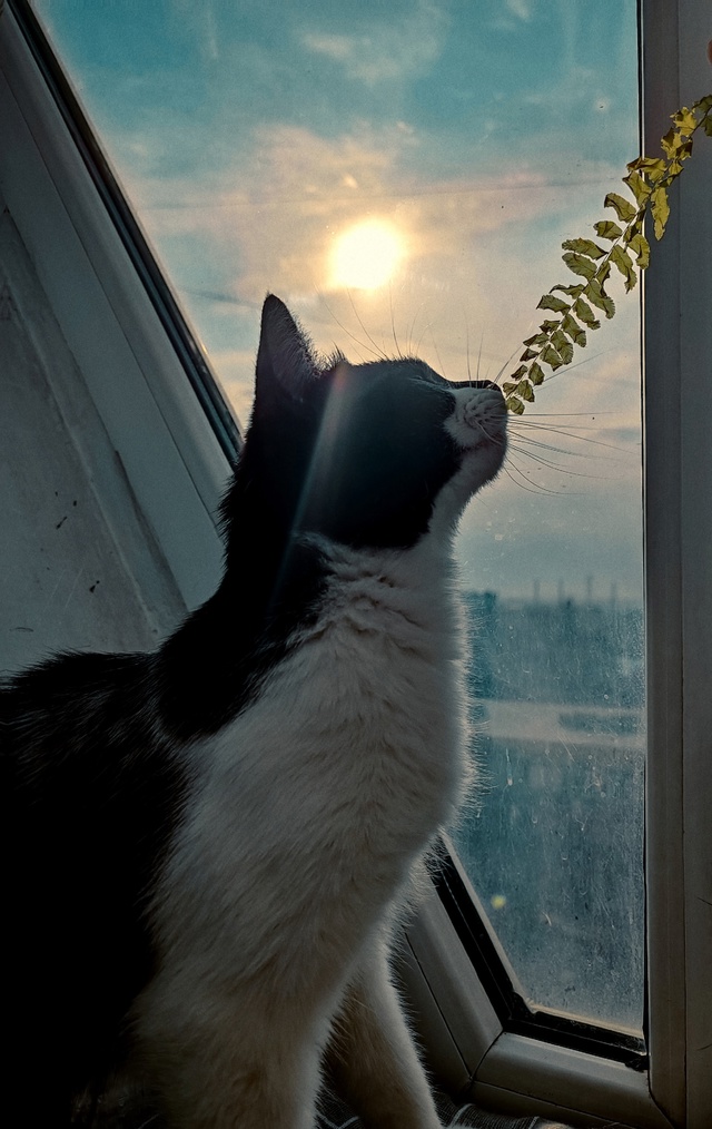 Лето ☀️