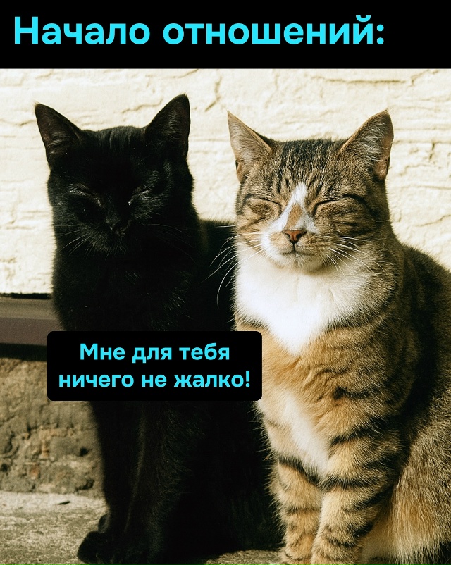 Любовь вечна, но сырки в холодильнике заканчиваются бы...