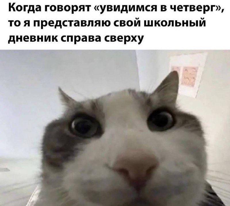 это в заводских настройках?