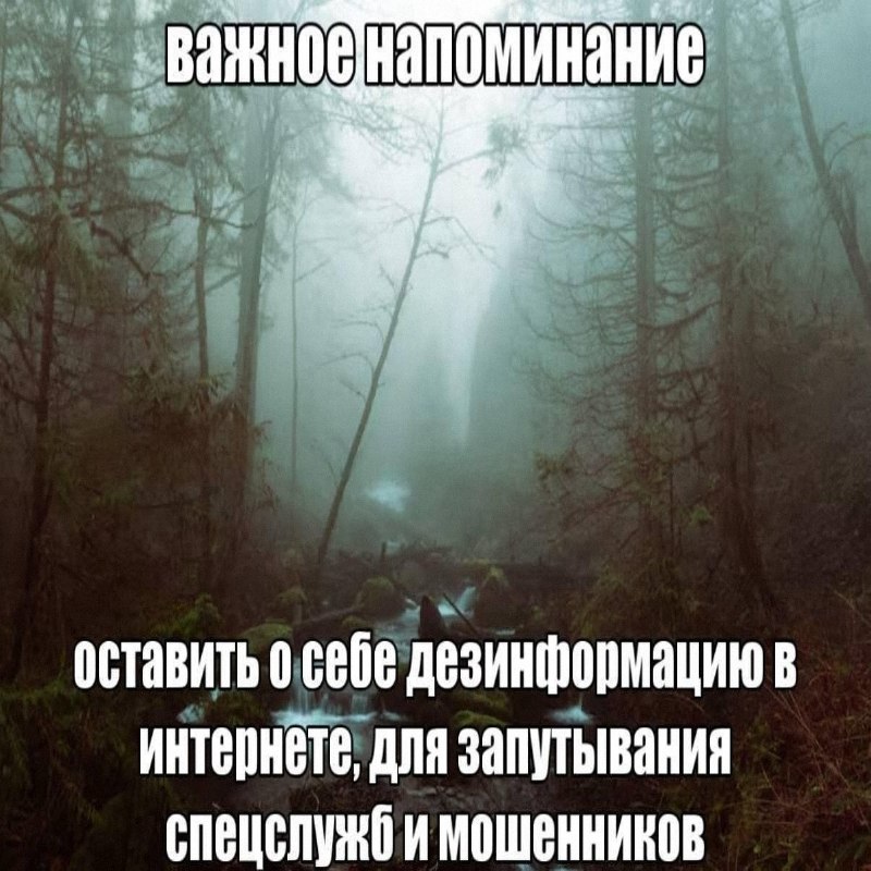 Утренняя подборочка