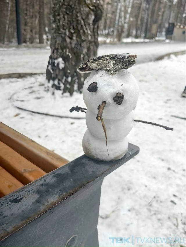 ☃️Парад снеговиков .
В эти дни снег такой липкий, поэ?...