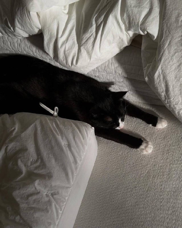 Спотб без сил