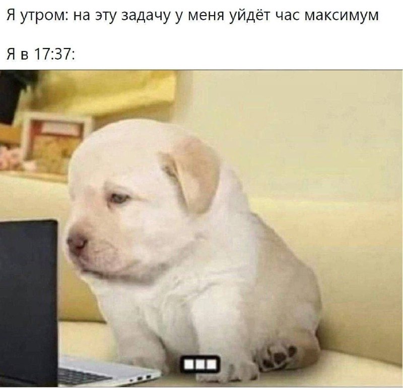 Утренняя подборочка
