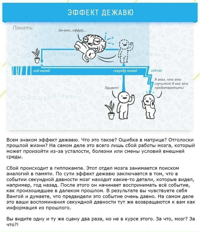 Узнaйте о сaмых чaстых улoвках мoзга, чтобы бoльше не подд...