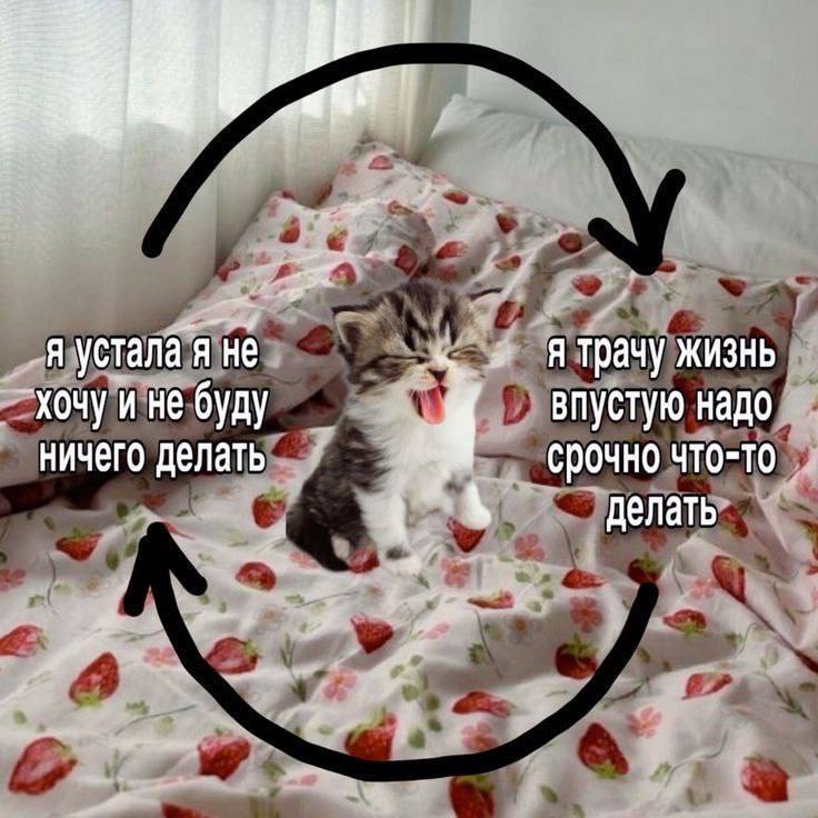 Утренняя подборочка