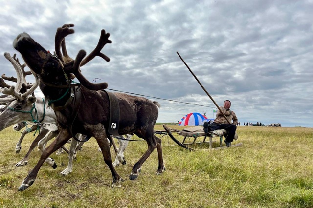 🦌🎉Среди белых скал. День оленевода отметили в СПК «И?...