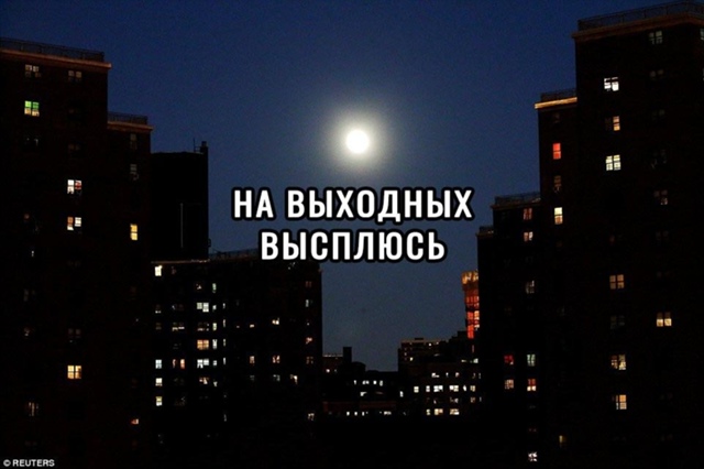 Так и до дурки недалеко😅