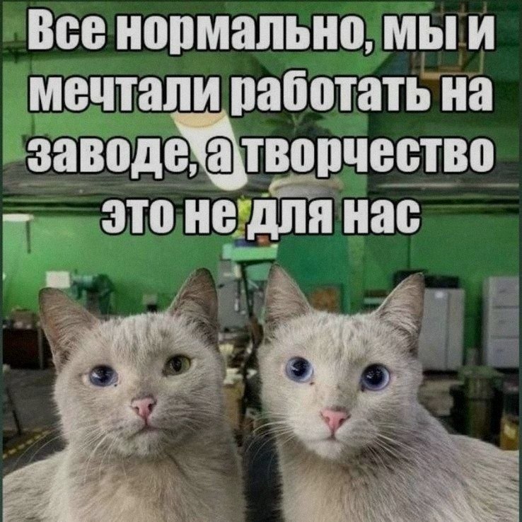 Ночная подборочка
Выходные, не спим