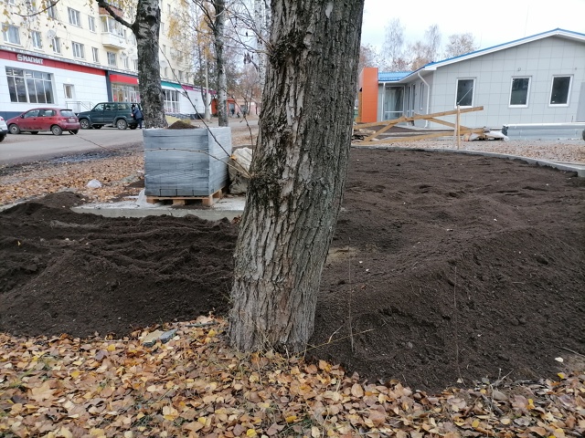 Землю привезли. Откуда?..