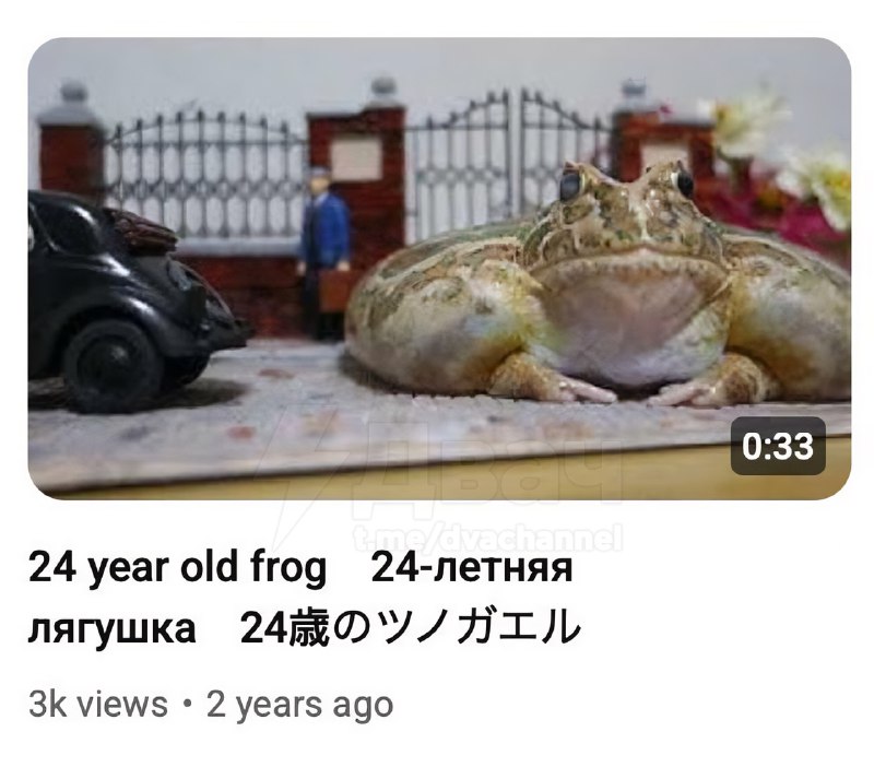 Японский дед каждый год празднует день рождения своей… лягушки
Он выкладывает видео с ней на ютуб: